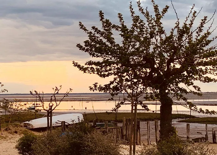 Face 5 Pers Wi-fi Parking Linge De Maison Gratuit 1chambre Parentale 1cabine Lits Superposes 1 Canape Lit Arcachon
